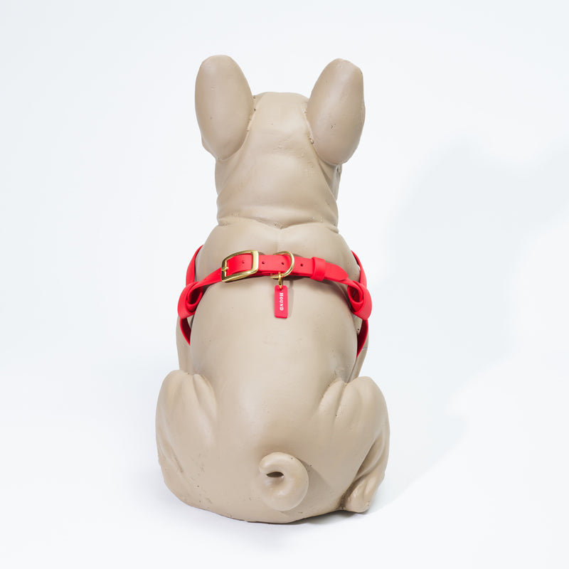 Waterproof Jellies Harness - Champion