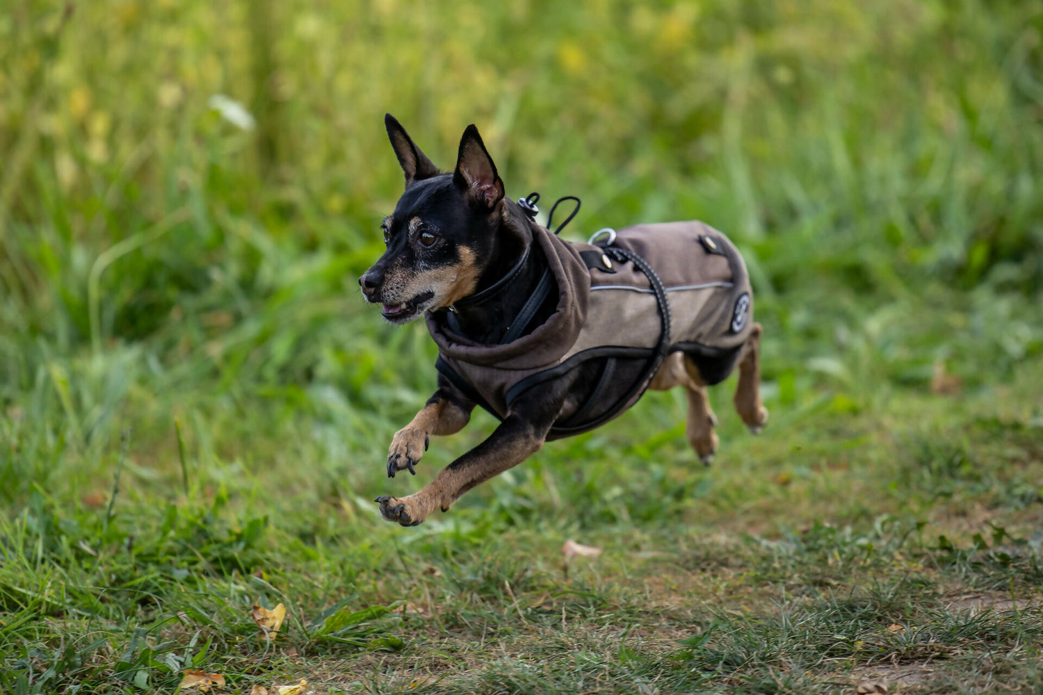 Kessy Bild-26