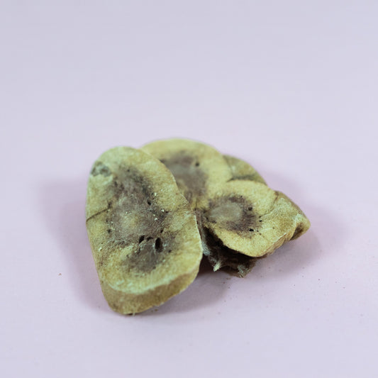 Waita Freeze Dried Beef Kidney 50g/500g