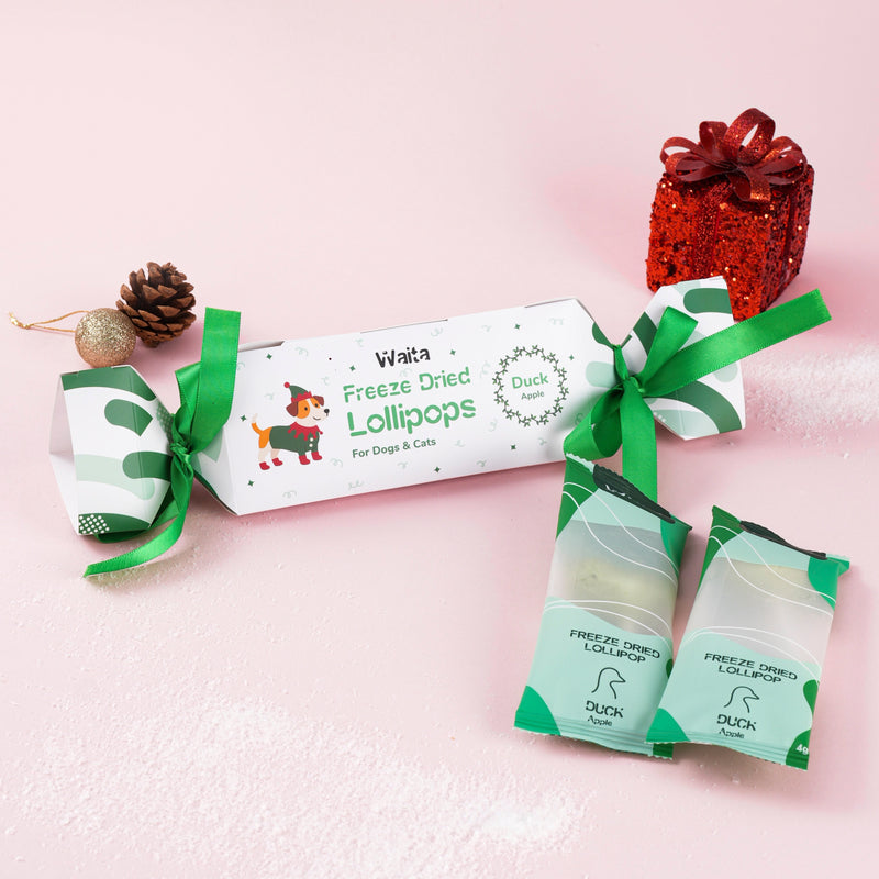 🎄 Waita Freeze Dried Christmas Cracker Gift Box