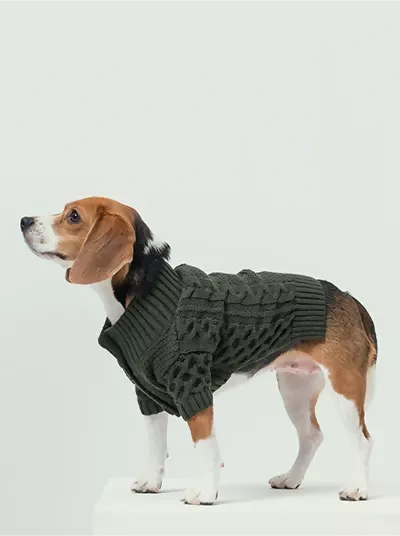 Bert Cardigan Sweater Green Side
