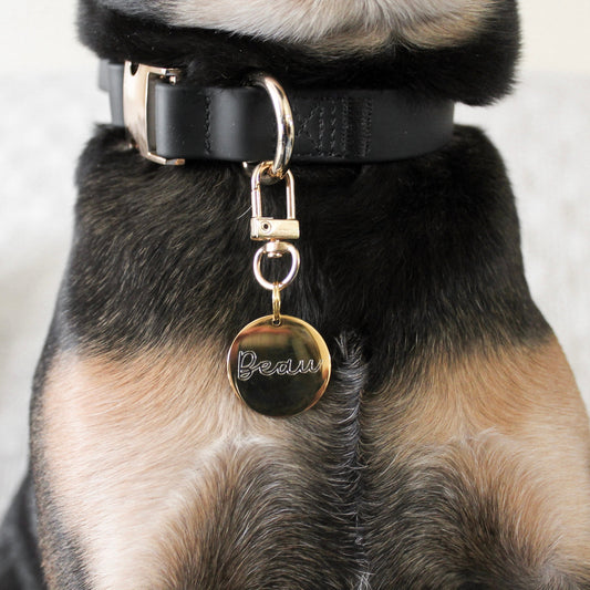 Elise Collar - Noir