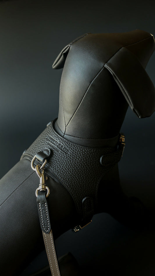 Black Togo 3