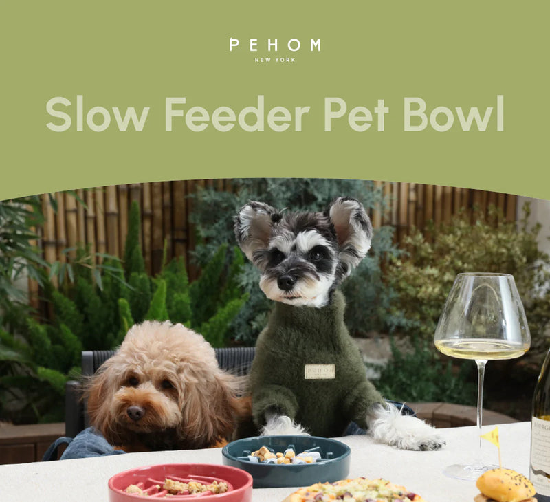 Slow Feeder Pet Bowls - Spark