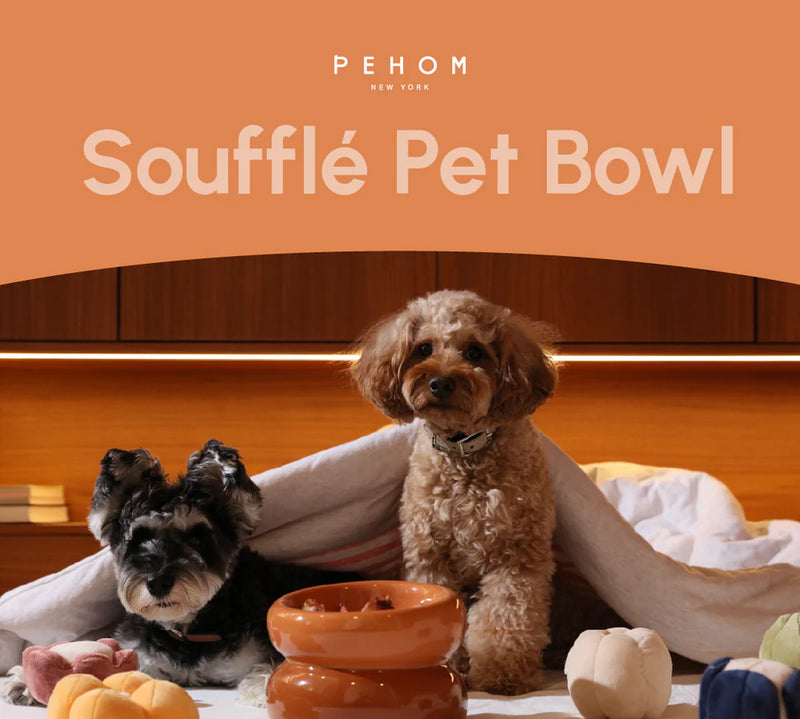 Soufflé Pet Bowl - Amber Orange
