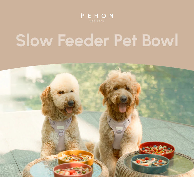Slow Feeder Dog Bowls - Wave