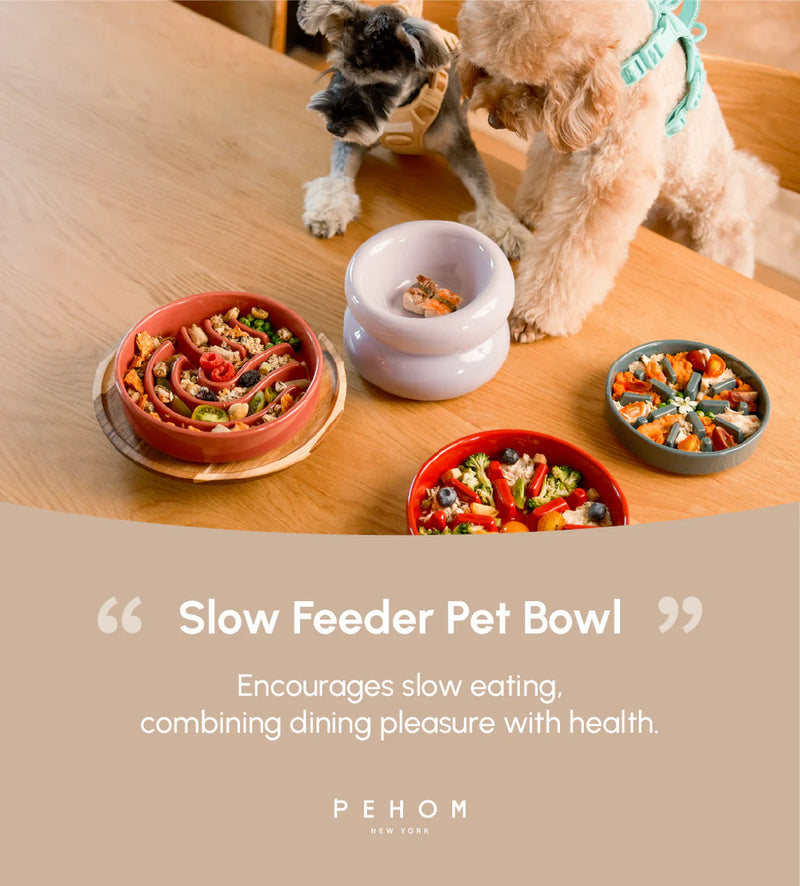 Slow Feeder Dog Bowls - Wave