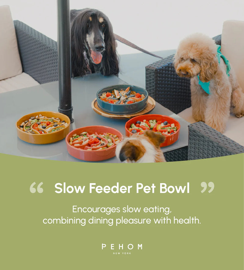 Slow Feeder Pet Bowls - Spark