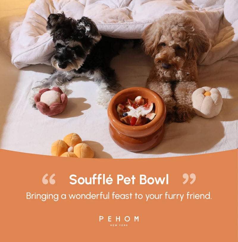 Soufflé Pet Bowl - Amber Orange