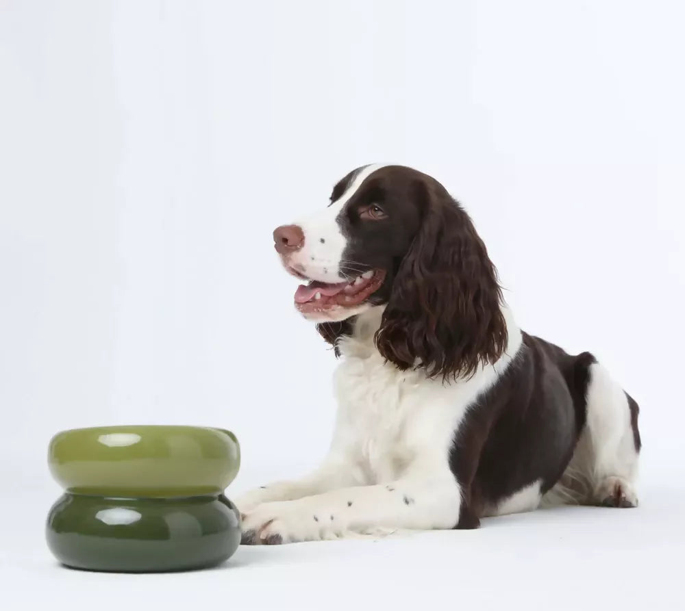 Soufflé Pet Bowl Avocado Green 3