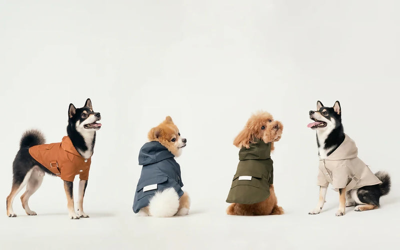 Bowery Raincoat Look