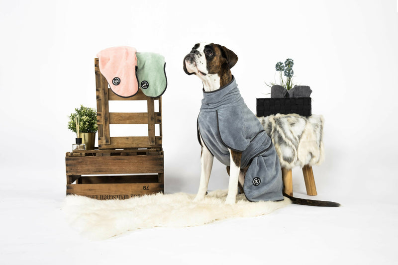 2023-12-21 MyDogSuit_440