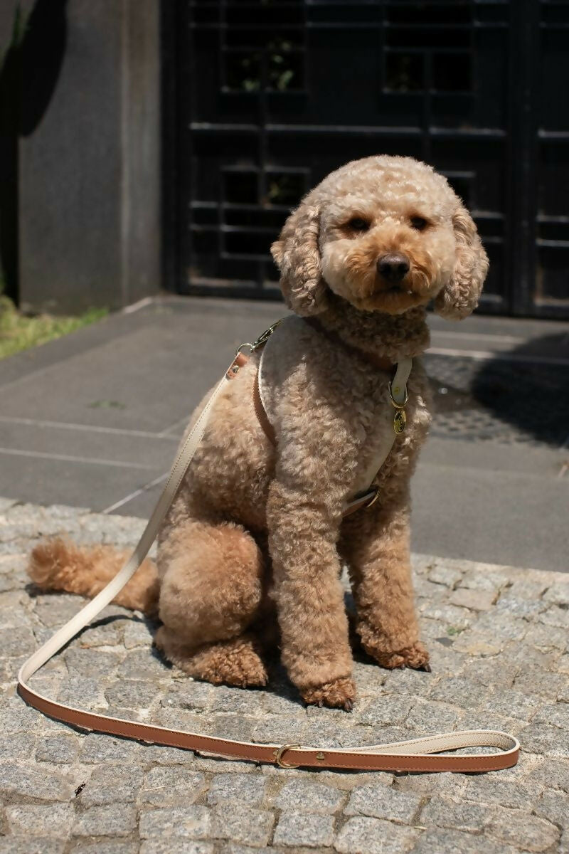 Leather Dog Leash