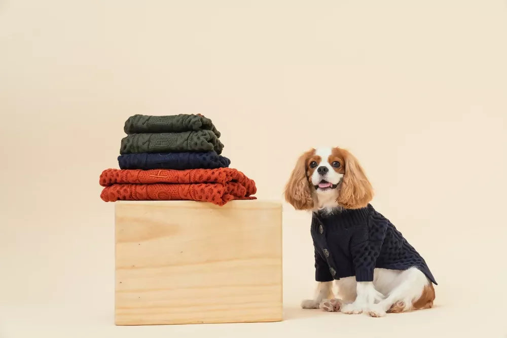 Bert Cardigan Sweater 3