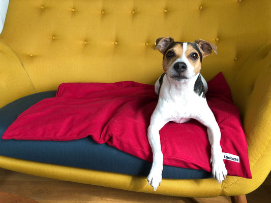 Duvet dog blanket Warm Red