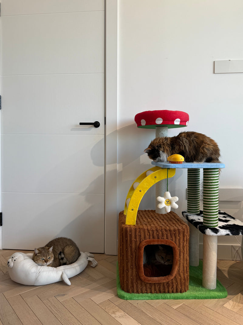 zeze Deluxe 3-in-1 Multi-Function Cat Tree — Bed, Scratcher & Multi-Level Activity Tower