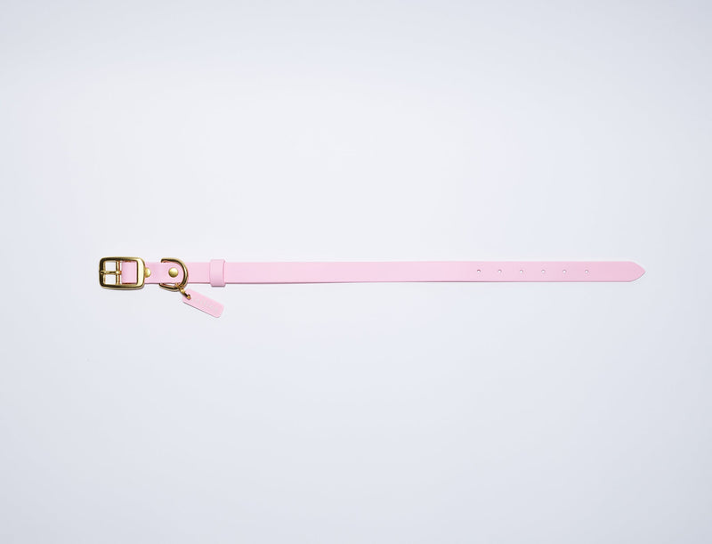 Waterproof Jellies Collar - Seashell