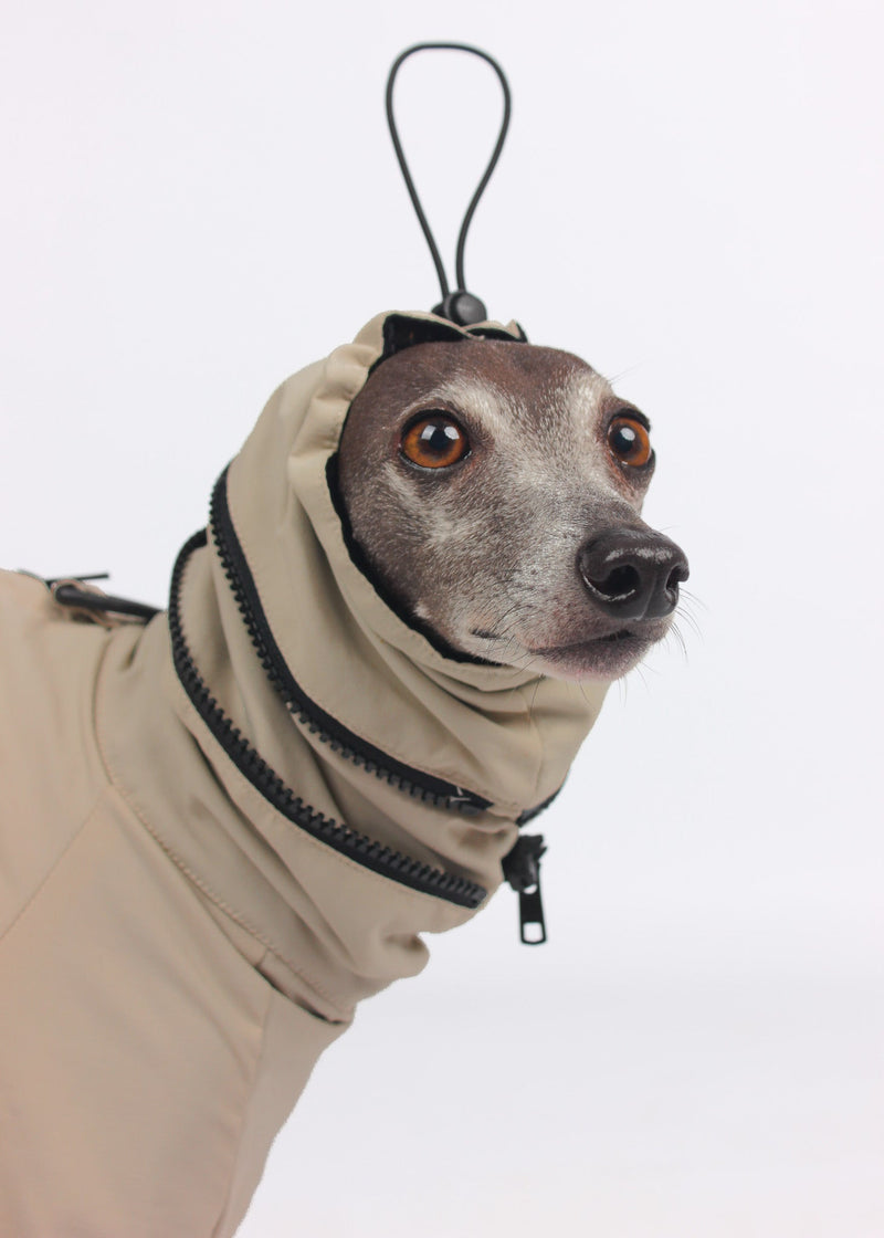 EL CAPITAN Iconic Dog Windbreaker - TAUPE