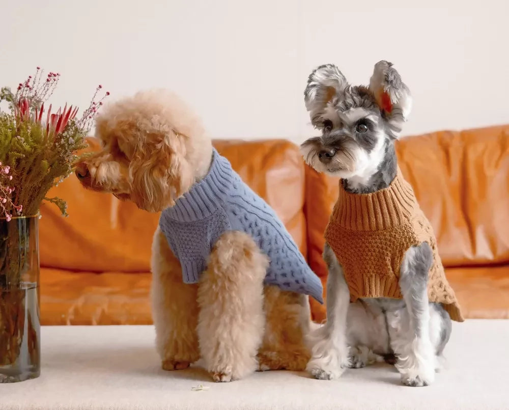 Pet Sweater Vest Ice Blue & Toffee