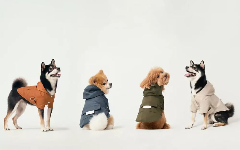 Bowery Raincoat Look