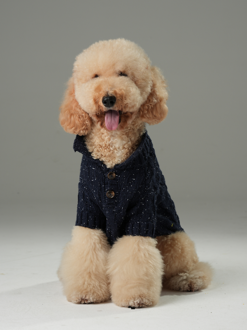 Glacier Pet Sweater - Navy Blue