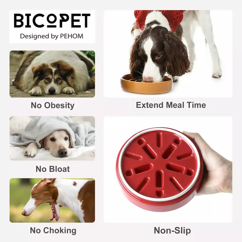 Slow Feeder Dog Bowls Wave Function 2