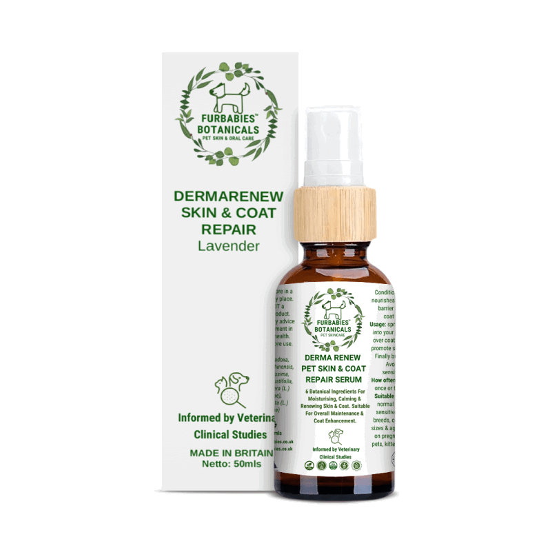 LAVENDER DERMA RENEW SERUM FOR ITCHY & SMELLY PETS (50ml) - FurBabies™ Botanicals | Pet Skin Barrier Repair - LAVENDER DERMA RENEW SERUM FOR ITCHY & SMELLY PETS (50ml) - VETERINARY RESEARCH INFORMED PET SKIN & ORAL CARE