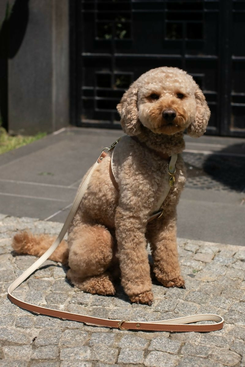 Leather Dog Cross Harness