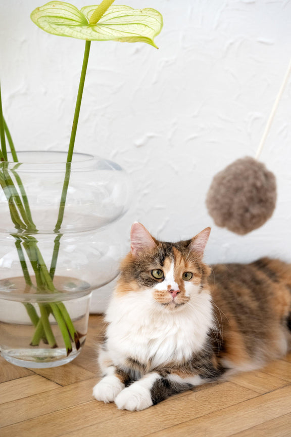 Natural Sheepskin Cat Toy: Ball - MellowConceptStore