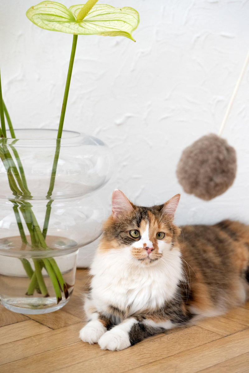 Natural Sheepskin Cat Toy: Ball - MellowConceptStore