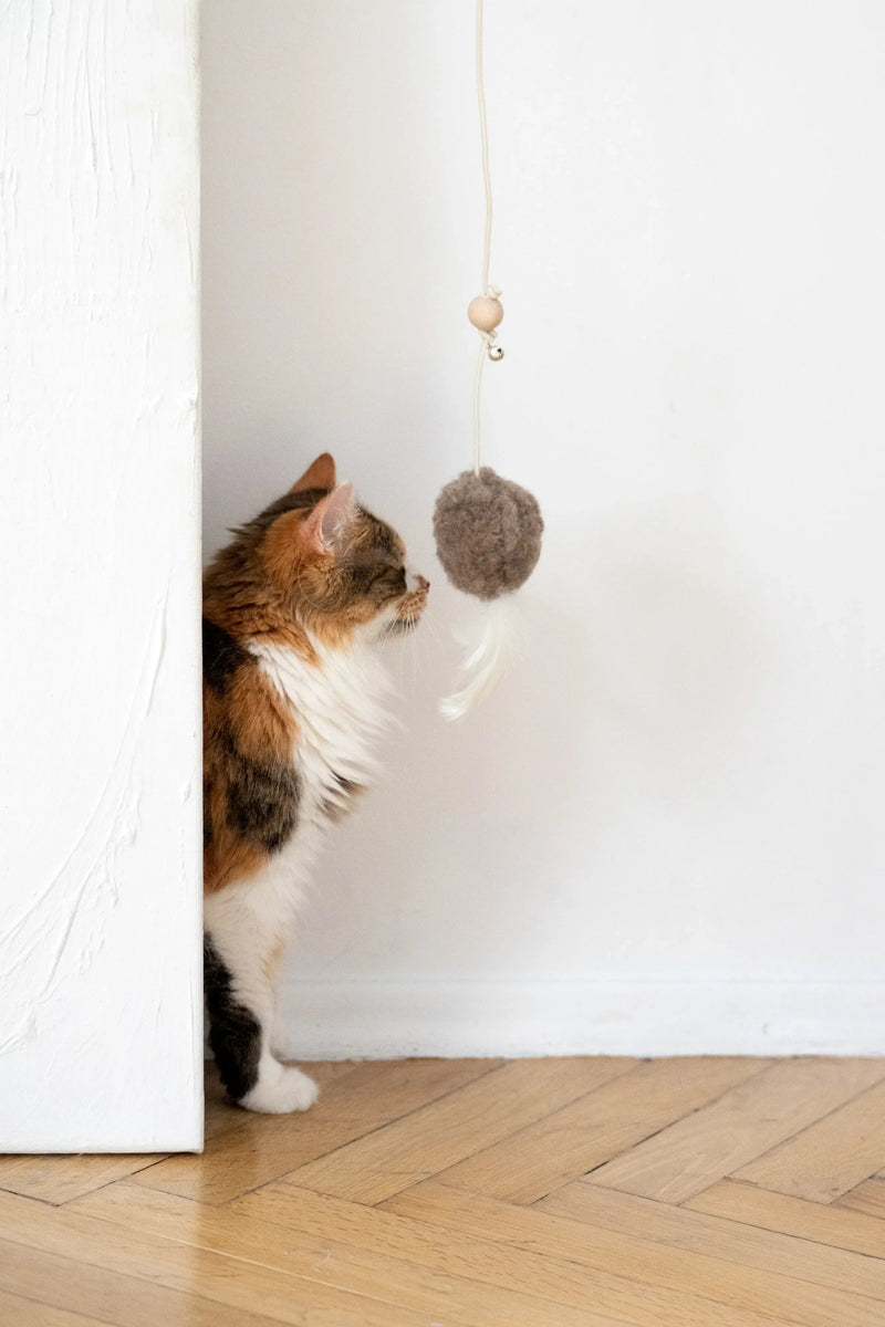 Natural Woolen Cat Toy: Mouse - MellowConceptStore