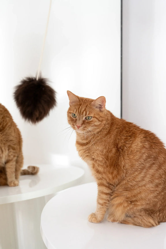 Natural Sheepskin Cat Toy: Ball - MellowConceptStore