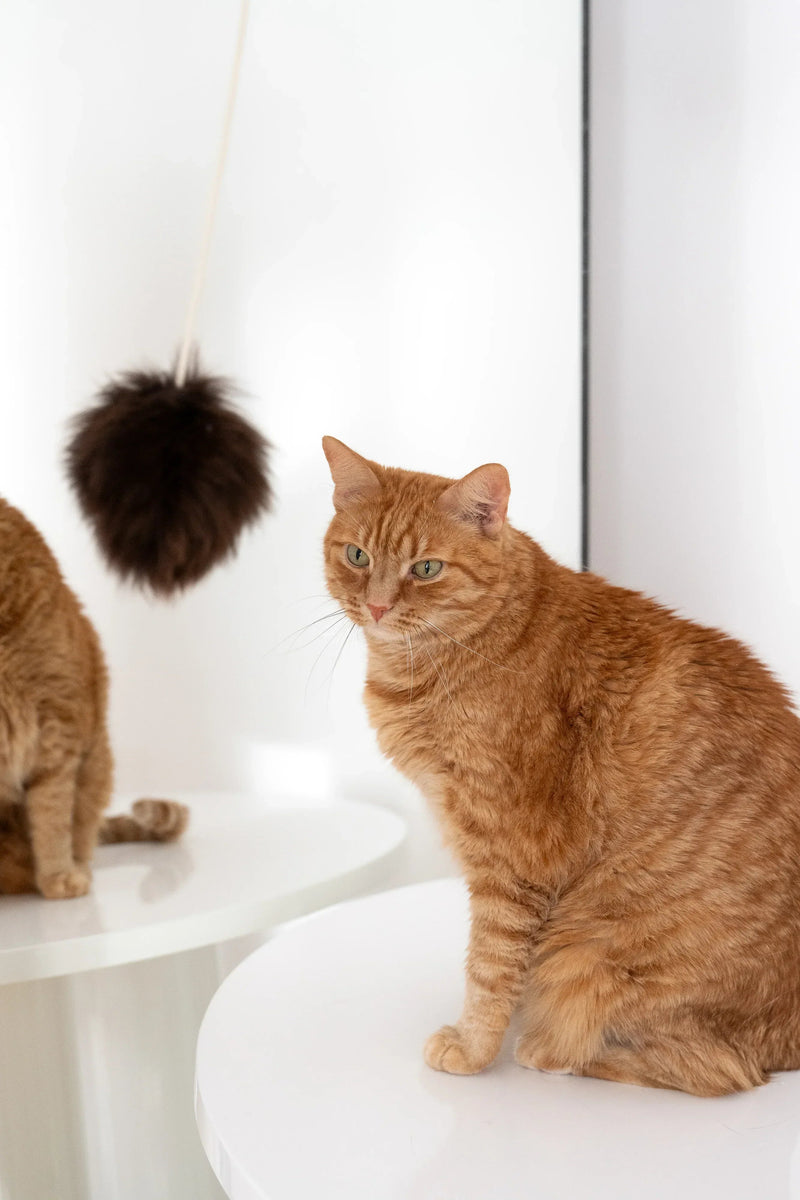 Natural Sheepskin Cat Toy: Ball - MellowConceptStore