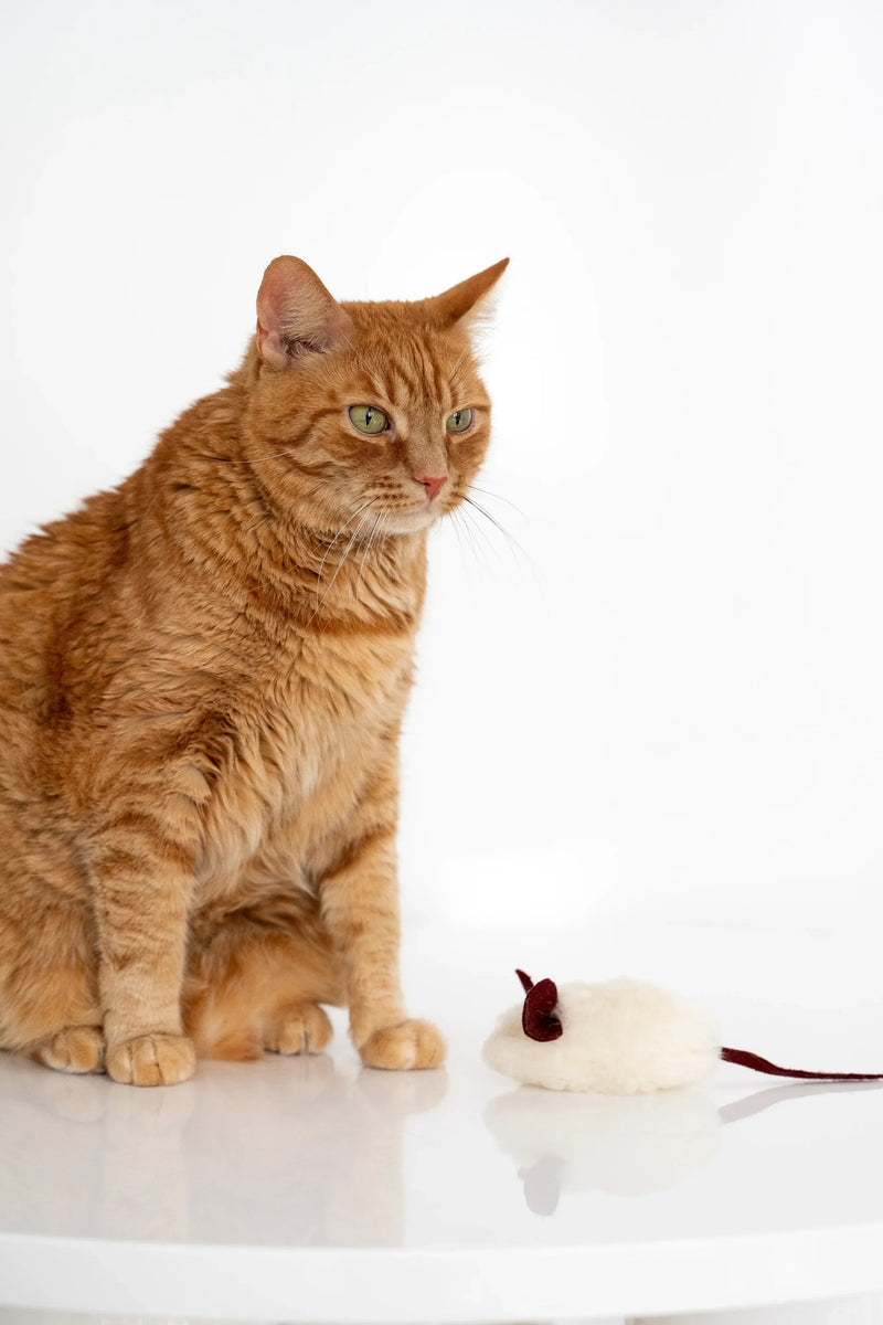 Natural Woolen Cat Toy: Mouse - MellowConceptStore