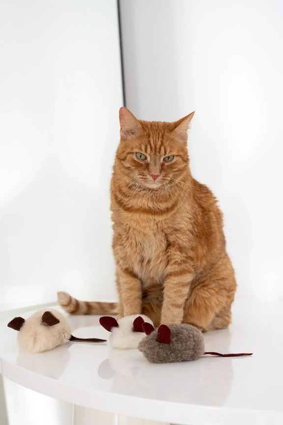Natural Woolen Cat Toy: Mouse - MellowConceptStore