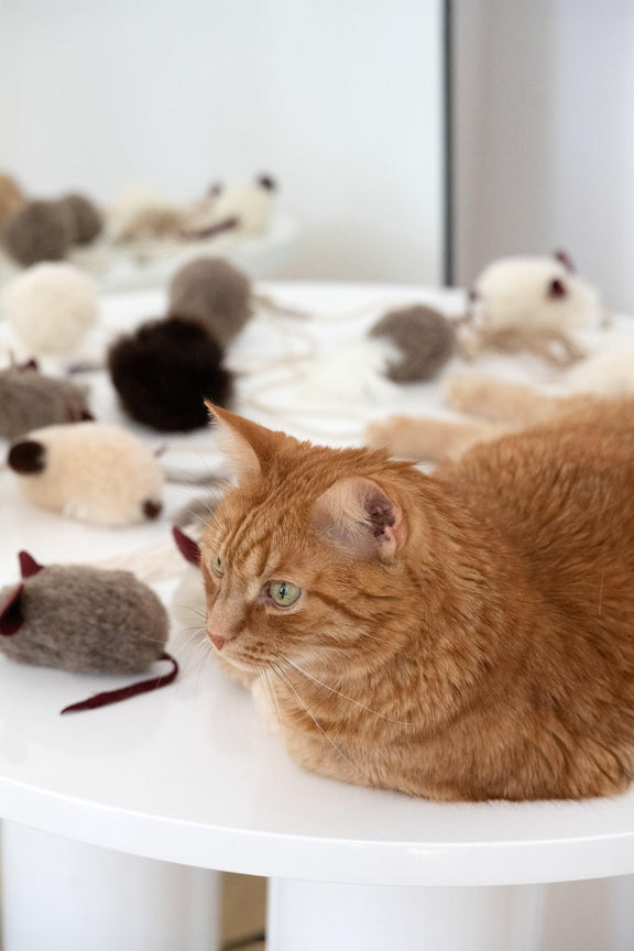 Natural Sheepskin Cat Toy: Ball - MellowConceptStore