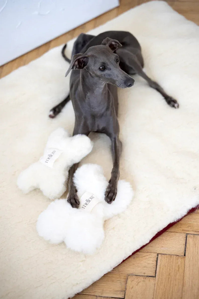Square or Rectangular Natural Woolen Pet Mat - White - MellowConceptStore