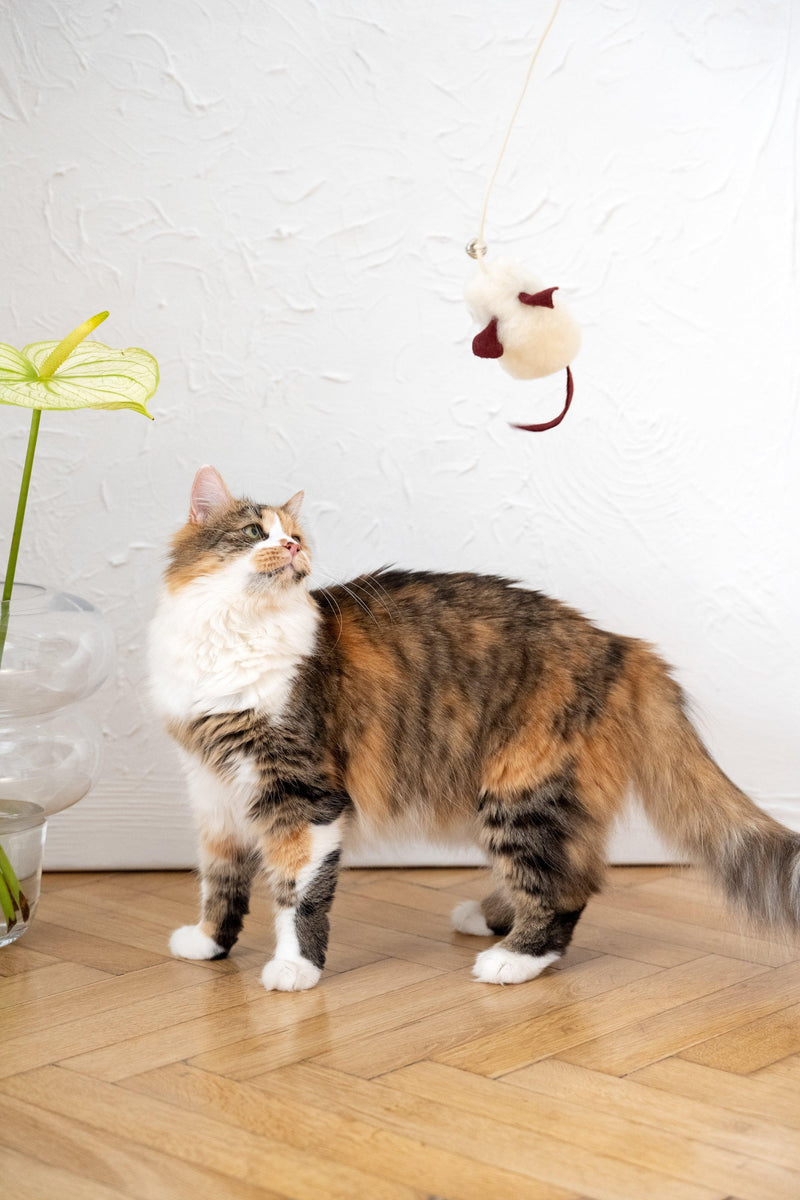 Natural Woolen Cat Toy: Mouse - MellowConceptStore