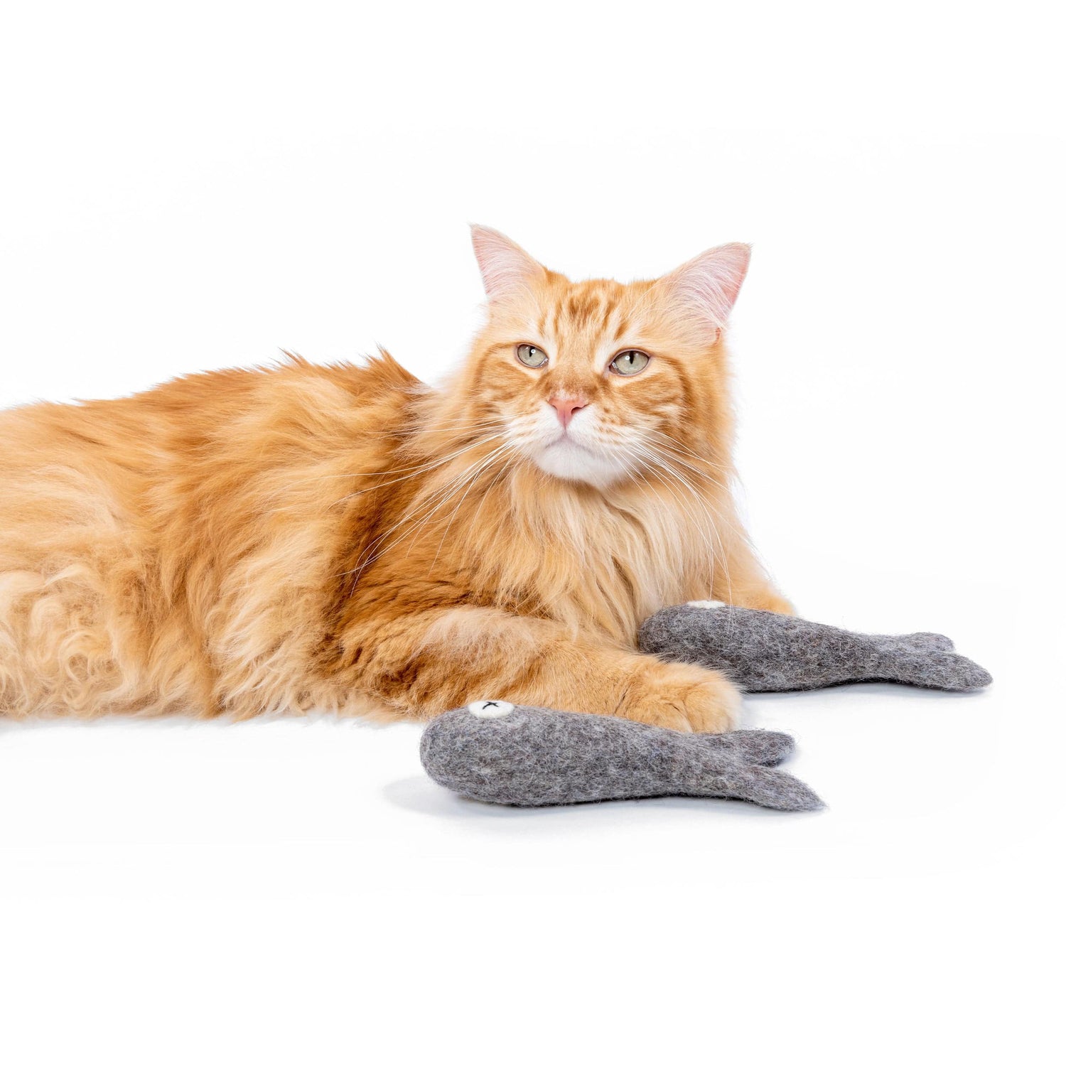 Felt Cat Toy - Felix the Fish 20cm | Mimis Daughters