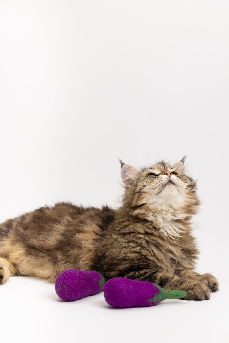 Adventurous Aubergine - Felt Cat Toy
