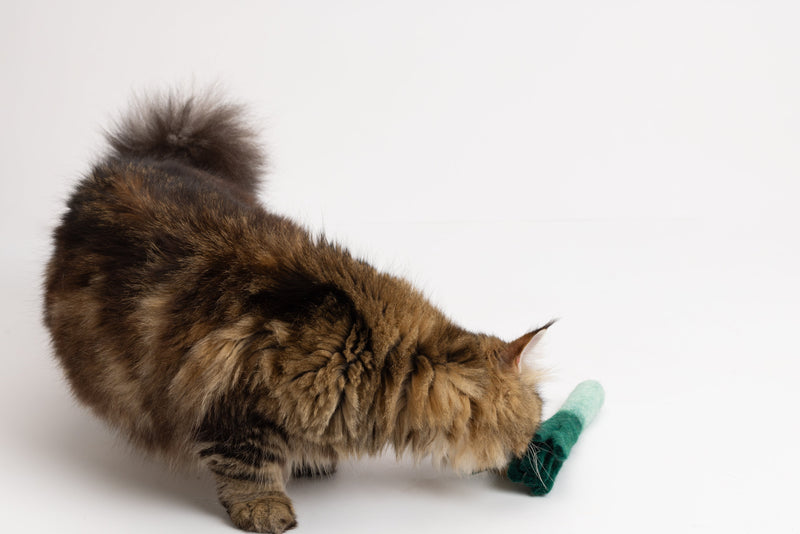 Lean Leek - Felt Cat Toy