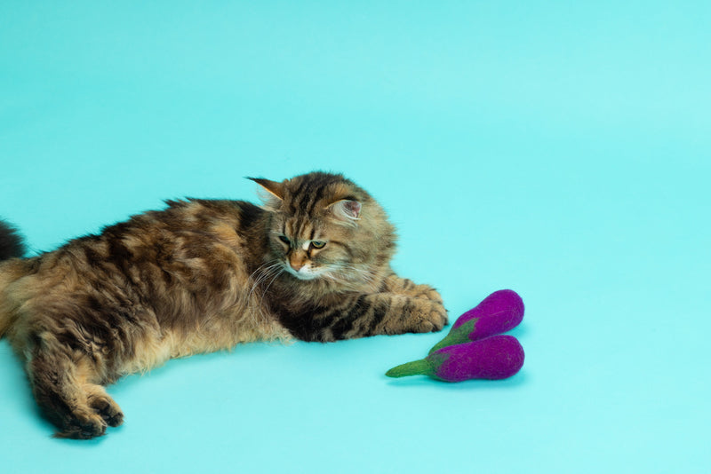 Adventurous Aubergine - Felt Cat Toy