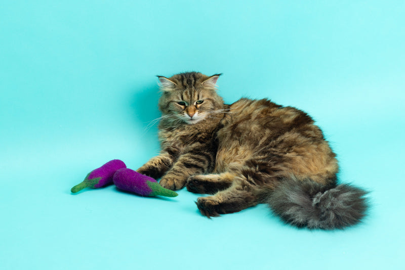 Adventurous Aubergine - Felt Cat Toy