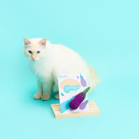 Adventurous Aubergine - Felt Cat Toy