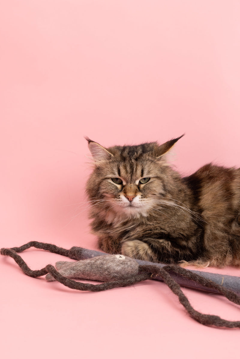 Fishing Rod - Felt Cat Toy