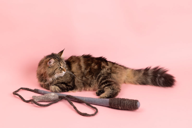 Fishing Rod - Felt Cat Toy