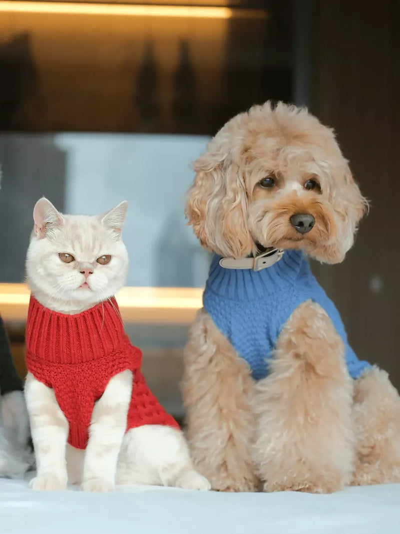 Pet Sweater Vest Ice Blue Cat & Dog