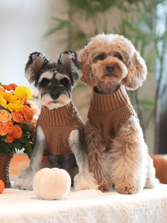 Pet Sweater Vest Toffee Orange Look