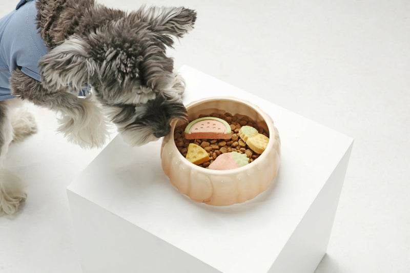 Puff Pet Bowl - Gradient Caramel