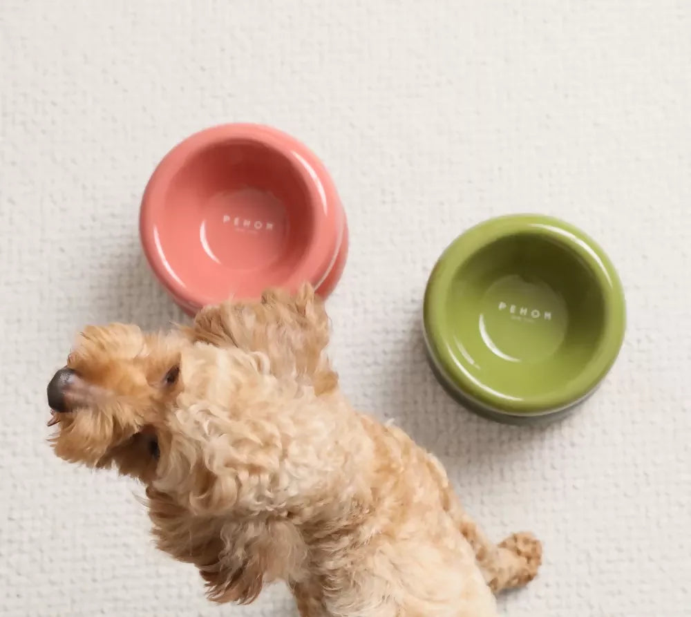 Soufflé Pet Bowl Purple 11